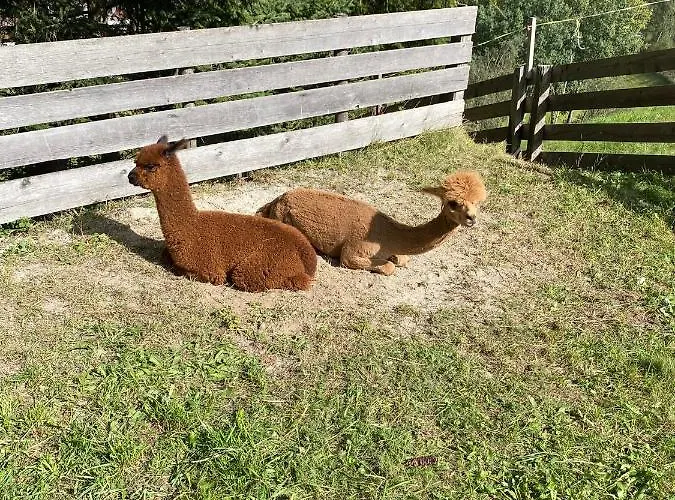 Haus Laterndl Längenfeld