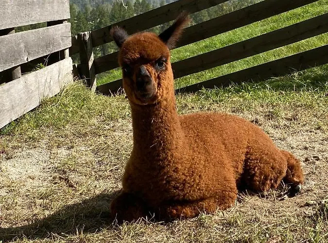 Haus Laterndl * Längenfeld